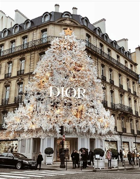 dior chrismas tree|Dior christmas tree photos.